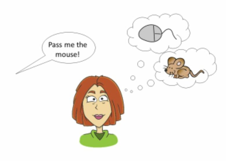 MouseJPG.JPG